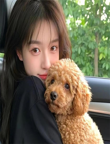 观看手册：《新阿里巴巴》的把握导演风格与创作特点 助你获得心灵启迪